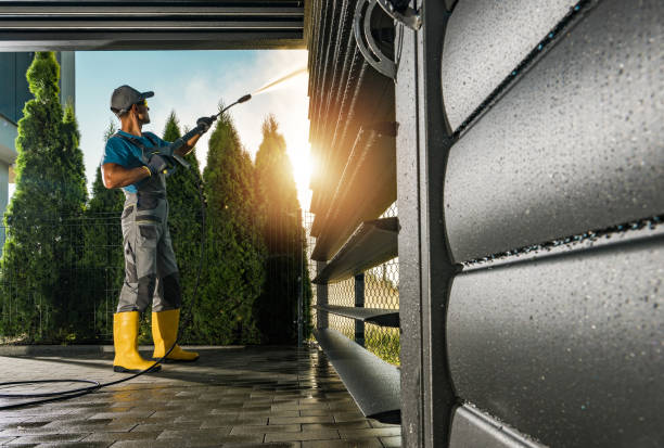 Best Sidewalk and Walkway Cleaning  in Augusta, KY